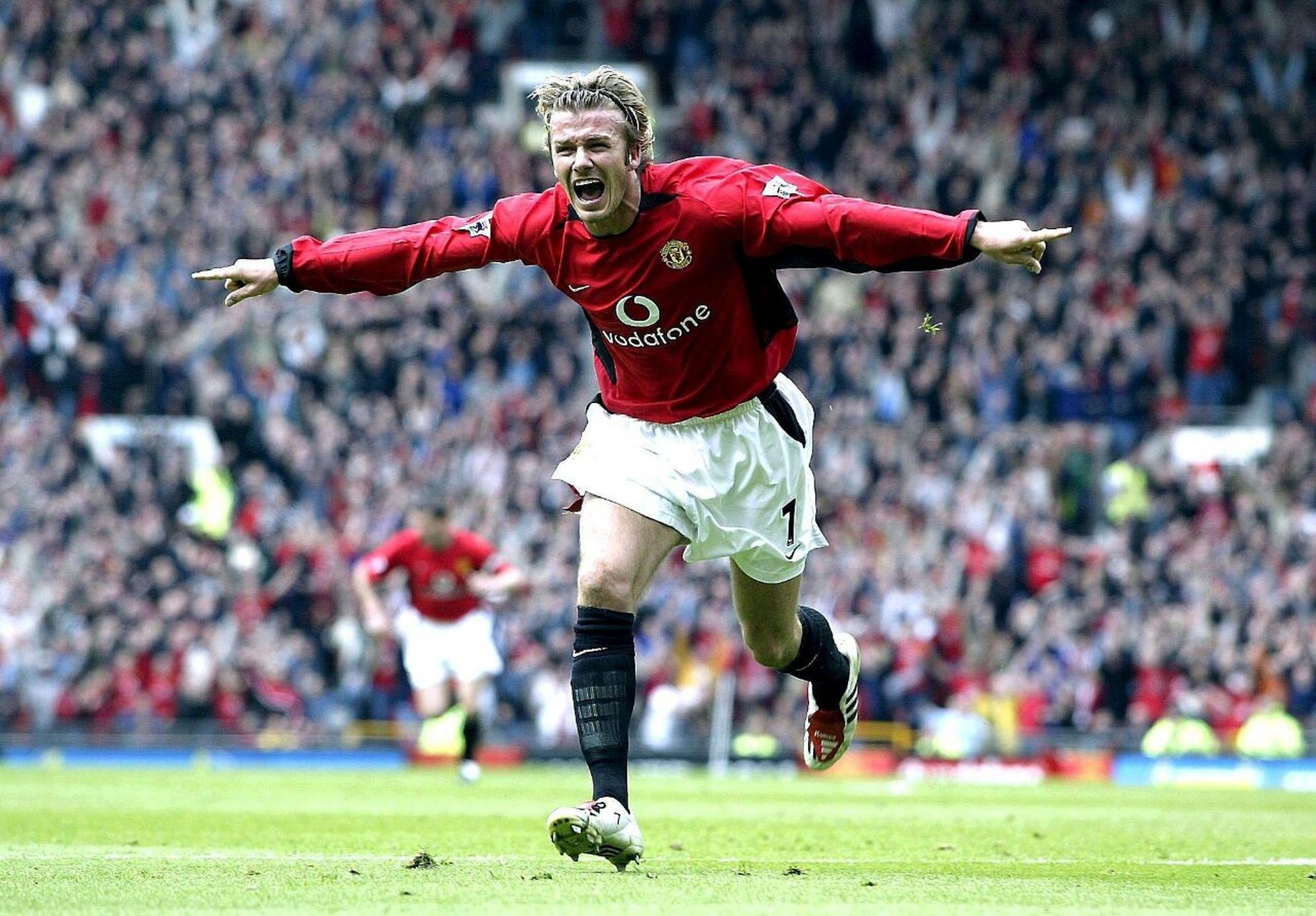 他在比甲和 他在比甲和